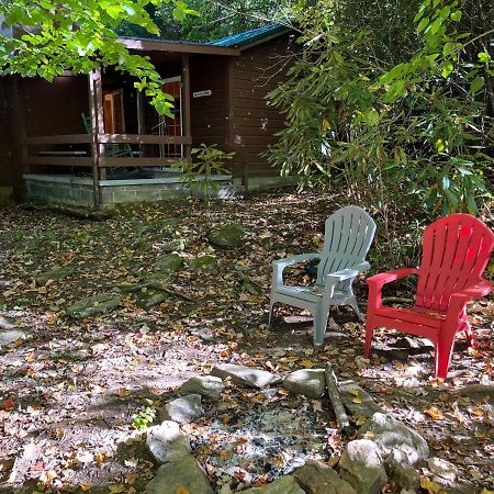Cozy Cabin Pet Friendly Ada Compatible Maggie Valley Dış mekan fotoğraf