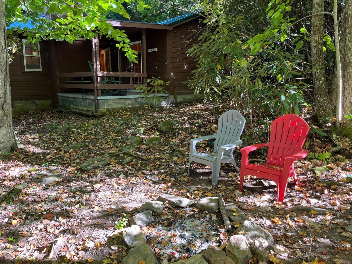 Cozy Cabin Pet Friendly Ada Compatible Maggie Valley Dış mekan fotoğraf